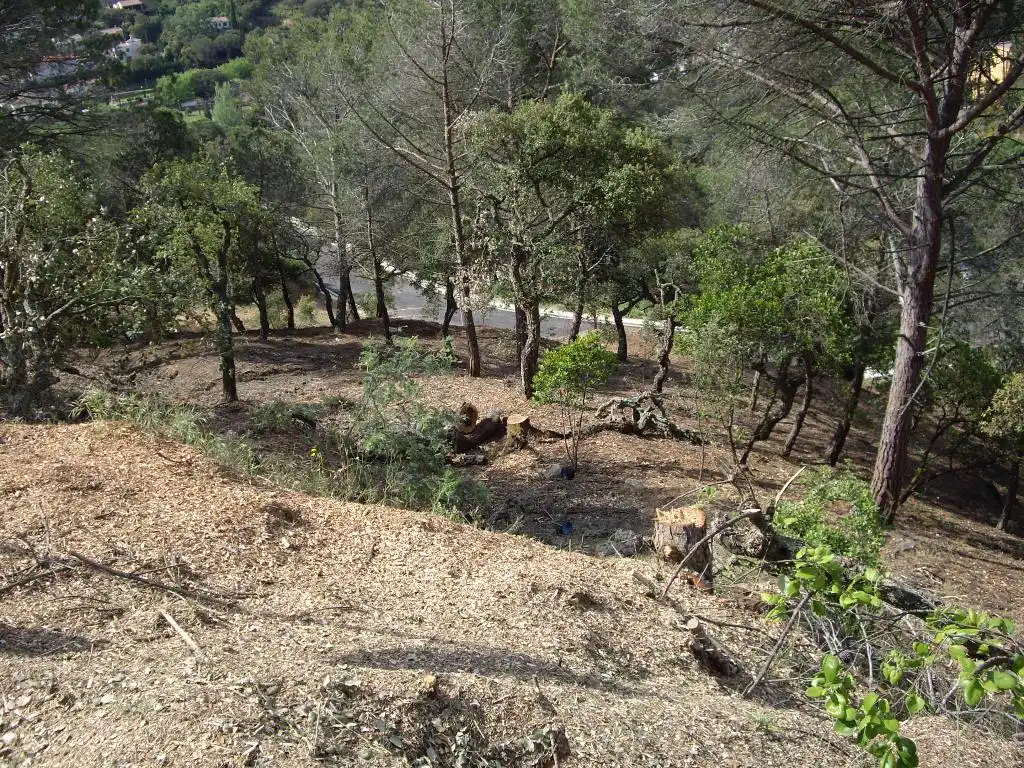 Terreno residencial en venta en alzina, imagen 6