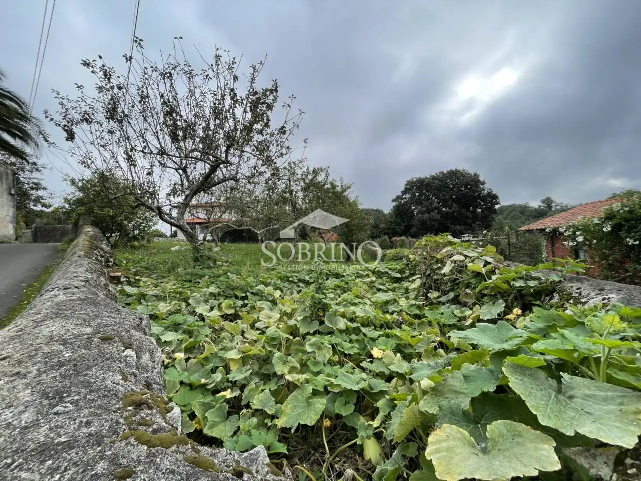Haus mit Garten zum Verkauf in Calle La Cábila 3, imagen 30