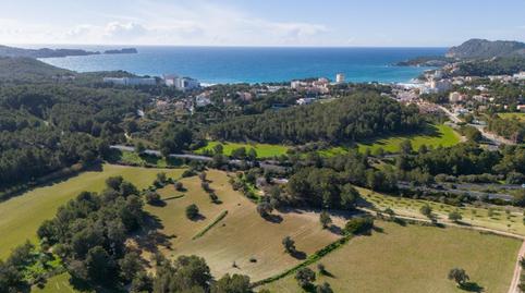 Foto 3 von Country house zum Verkauf in Calvià pueblo, Calvià