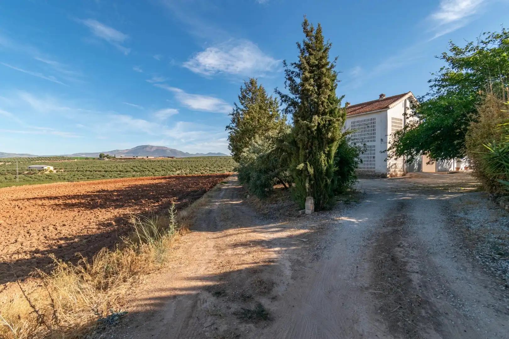 Chalet con piscina en venta en Moraleda de Zafayona, imagen 72