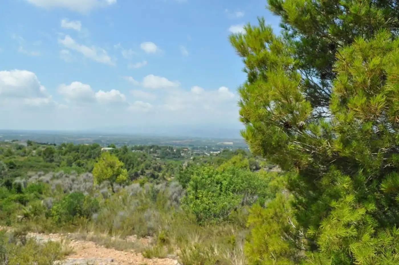 Land for sale in Camí del Barranc de la Llet, 26, Sant Llàtzer