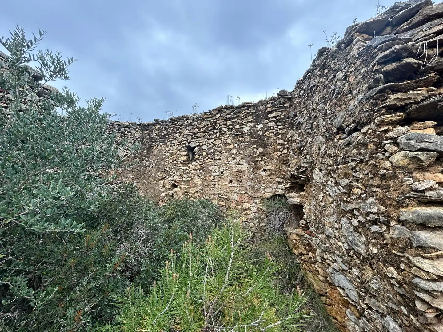 Exterior view of Land for sale in Biure