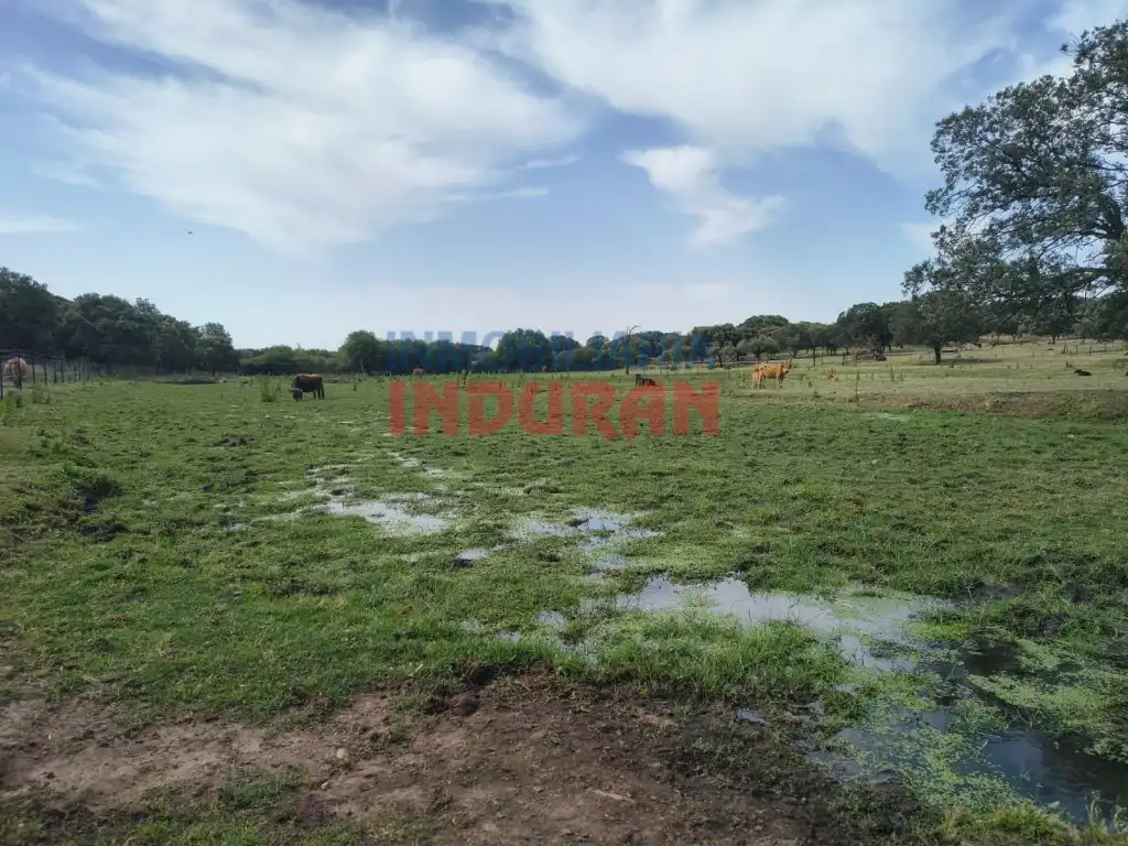 Finca rústica en venda en Talaván