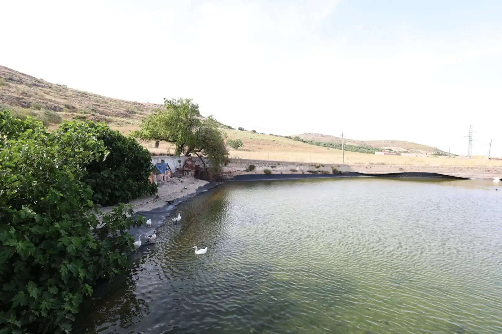 Piscina de Residencial en venta en Darro