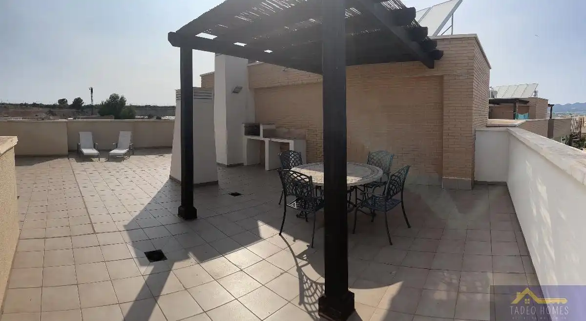 Apartament amb terrassa en venda a Pino Nuevo 6, imagen 37