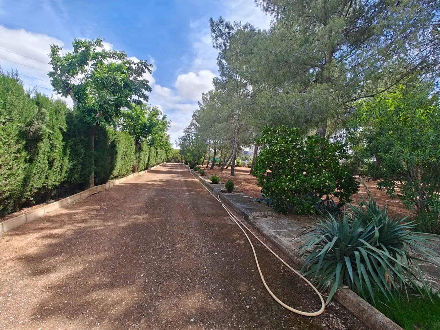 Finca rústica en venta en Extrarradio Extrarradio, Carretera de Córdoba - Libertad