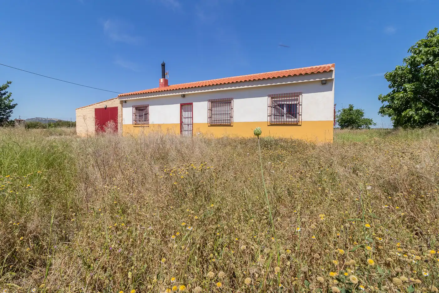 Vista exterior de Finca rústica en venda en Mula