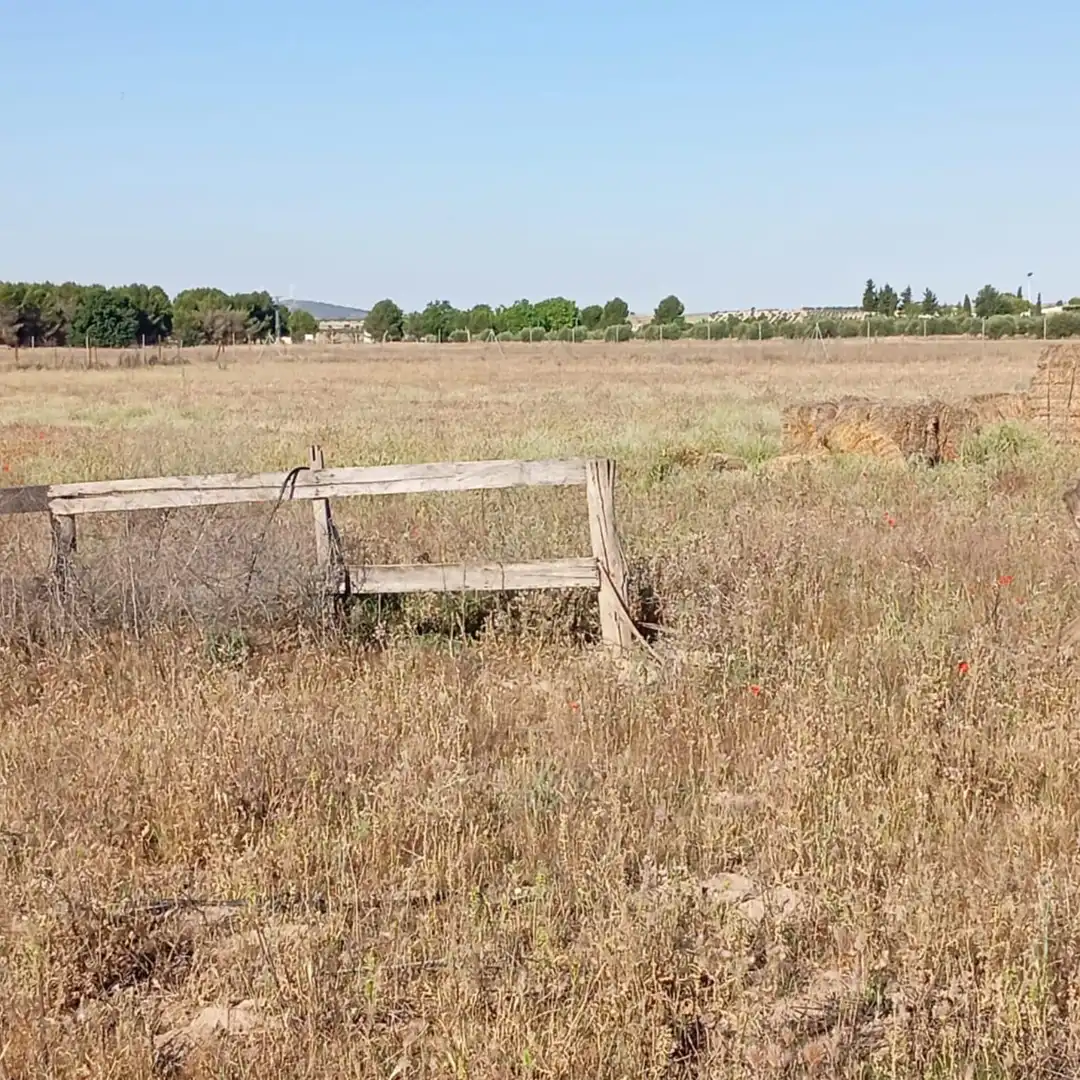 Terreny rústic en venda a Camino del Cuadrado 50, imagen 15