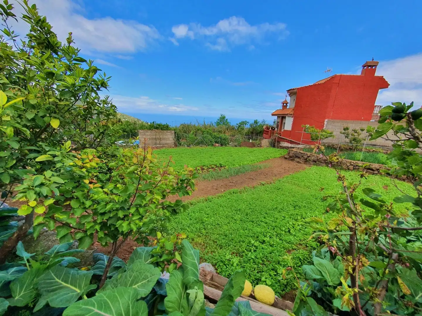 Finca rústica en venta en Icod de los Vinos con Jardín privado, Terraza y Trastero