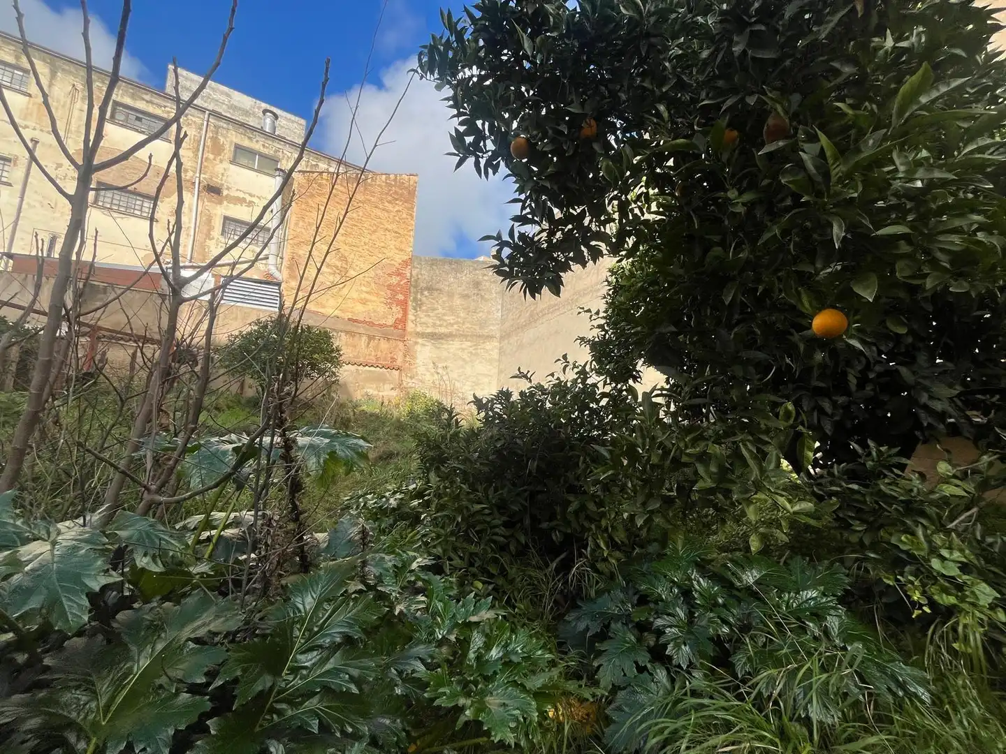 Edifici en venda en Cáceres