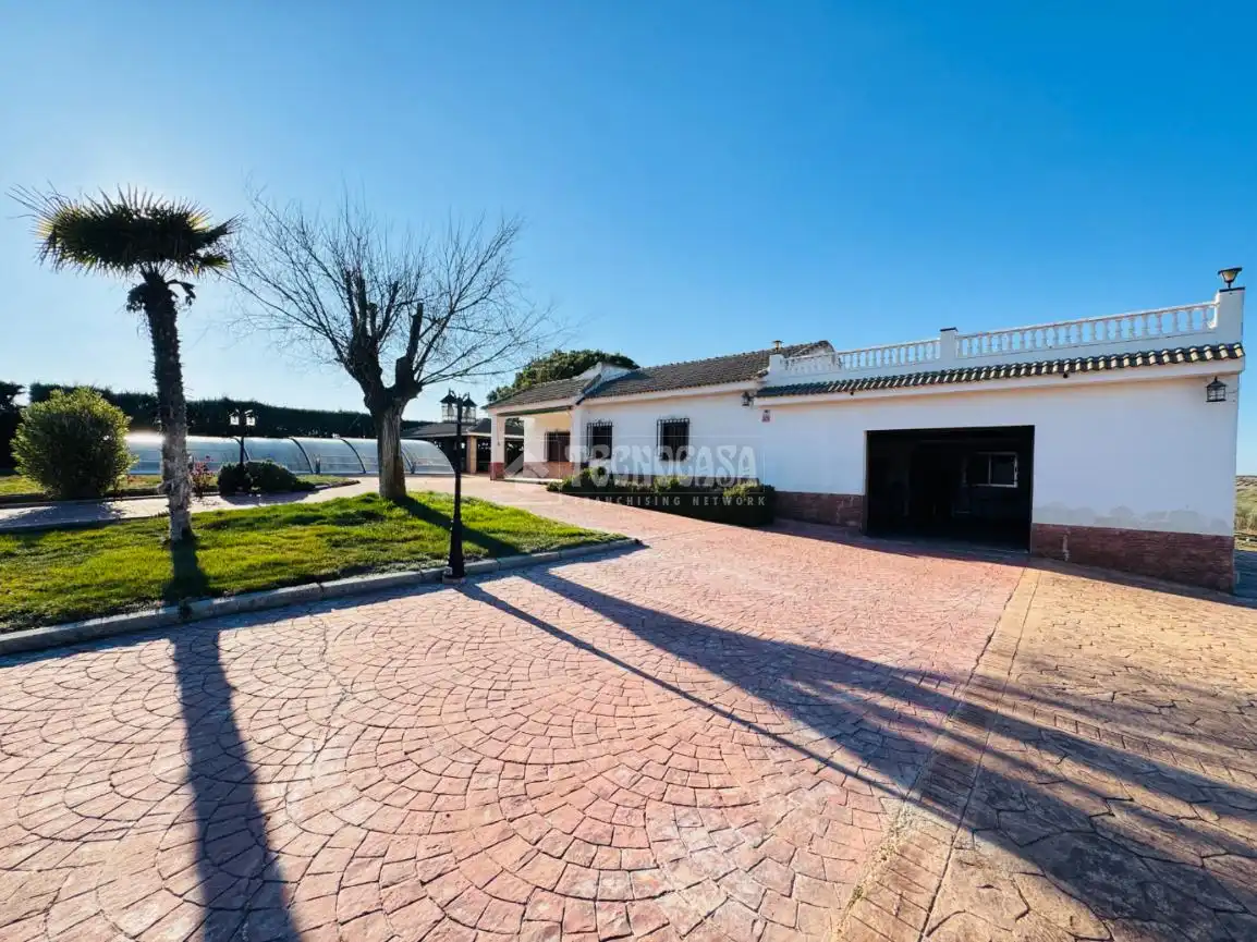 Vista exterior de Casa o xalet en venda en Mora amb Calefacció, Jardí privat i Piscina