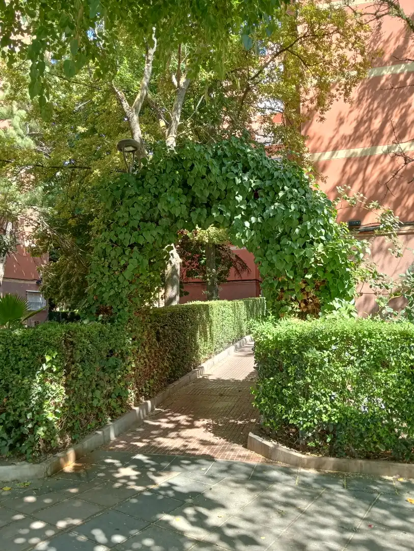 Piso con ascensor en venta en Sur - PAU 4, imagen 23