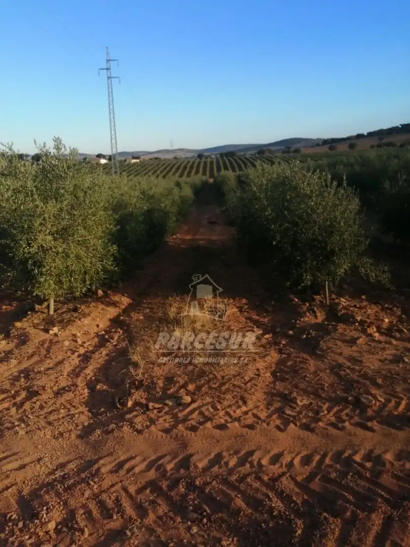 Finca rústica en venda en La Granjuela