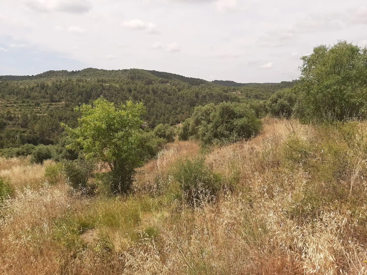 Casa adosada en venda en Cervià de Les Garrigues amb Jardí privat, Terrassa i Balcó