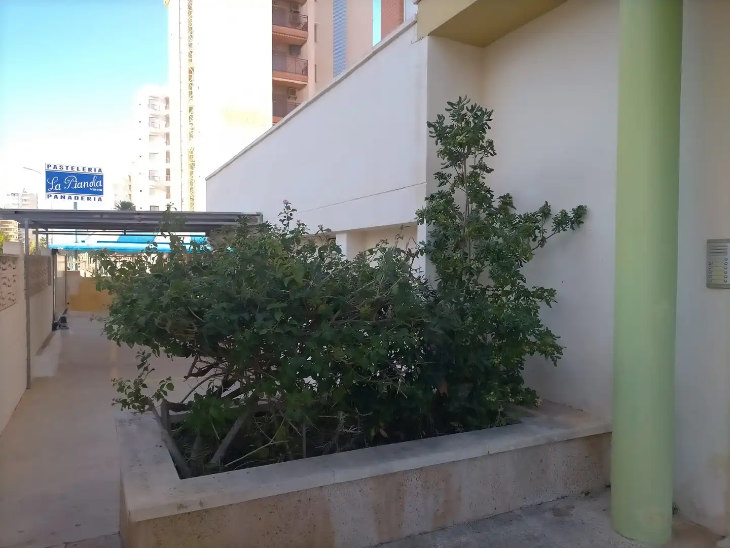 Apartment mit Terrasse zum Verkauf in Playa de Gandia, imagen 17