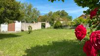 Jardí de Casa o xalet en venda en Condado de Treviño amb Jardí privat