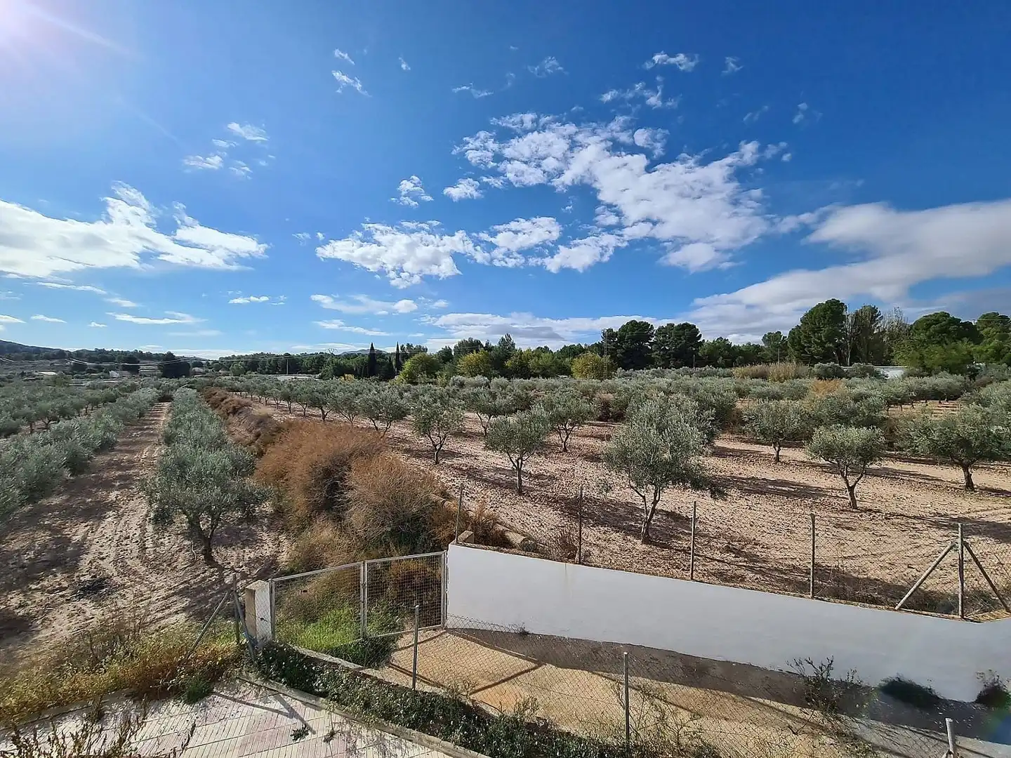 Casa rústica en venta en Sax, imagen 34