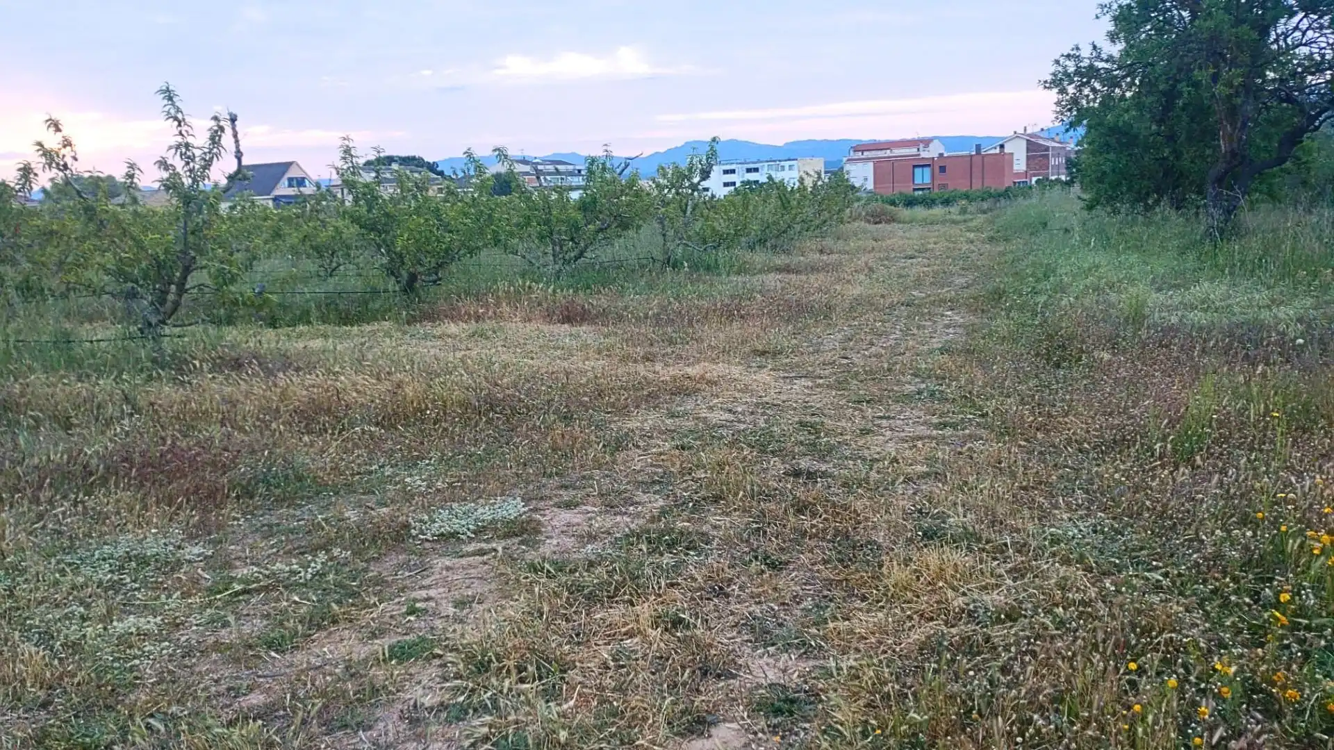 Terreno residenziale in vendita a Camino Nou, imagen 6