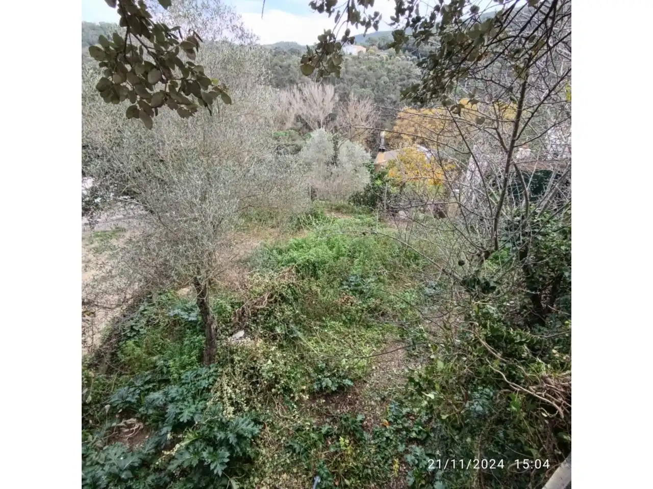 House with garden for sale in Calle baronia, imagen 3