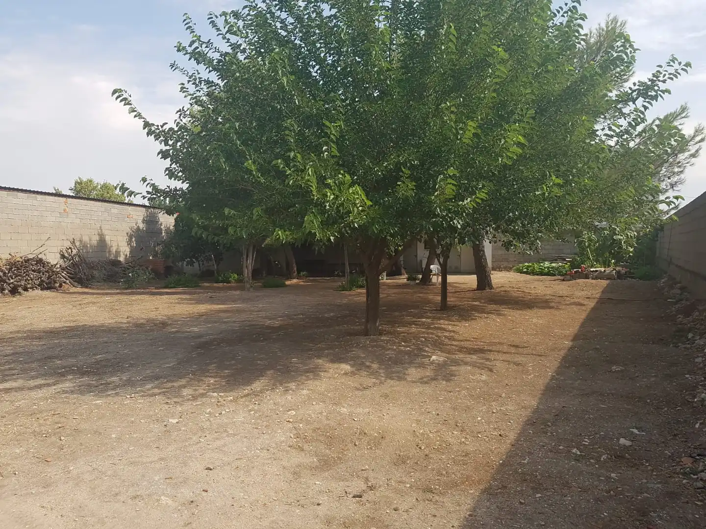 Lands and plots for sale in Corral de Almaguer, imagen 5