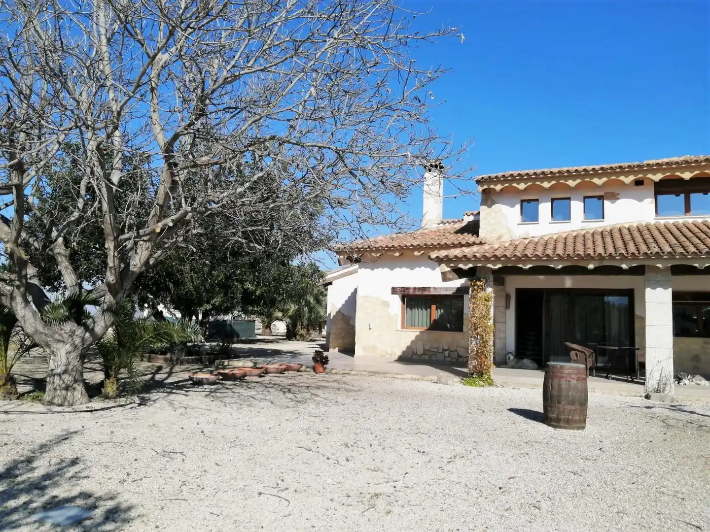 Vista exterior de Casa o chalet en venta en El Palomar con Aire acondicionado, Calefacción y Jardín privado