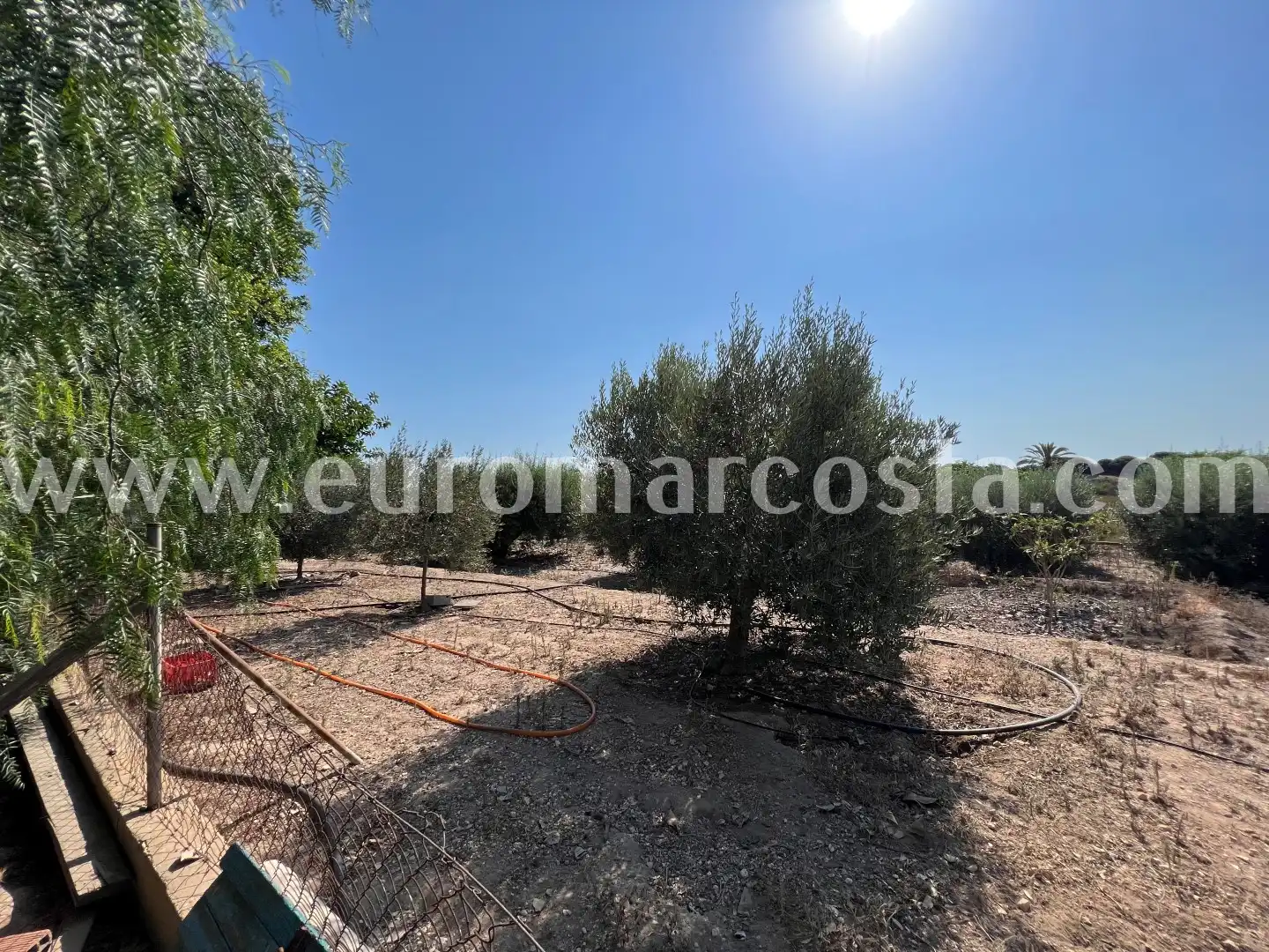 Country homes for sale in Elche / Elx  with Private garden and Furnished