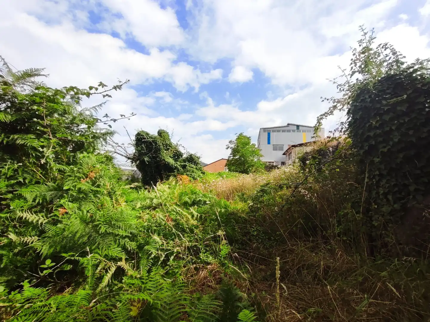 Terreny residencial en venda a Rúa Sardomela, imagen 2