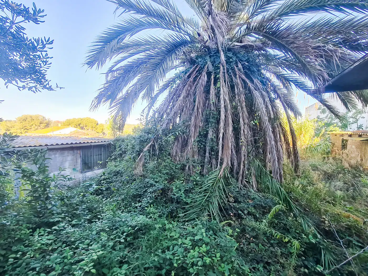 Casa o xalet en venda en Tarragona amb Jardí privat i Terrassa
