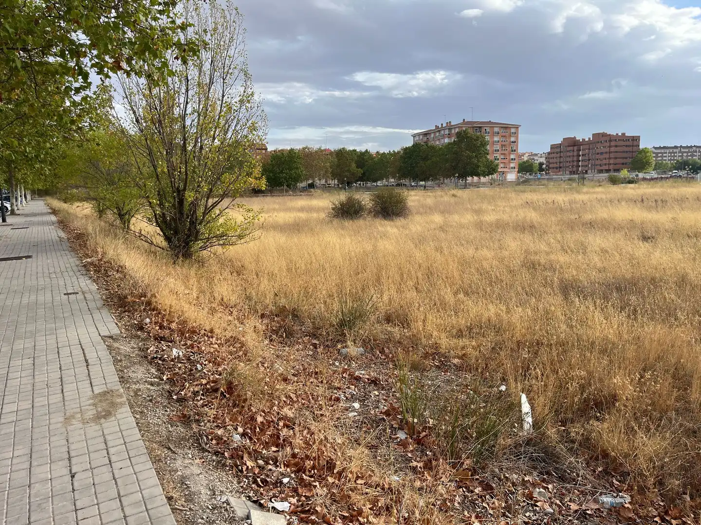 Grundstücke und Bauplätze zum Verkauf in 1/7 CIUDAD DEPORTIVA 3, imagen 14