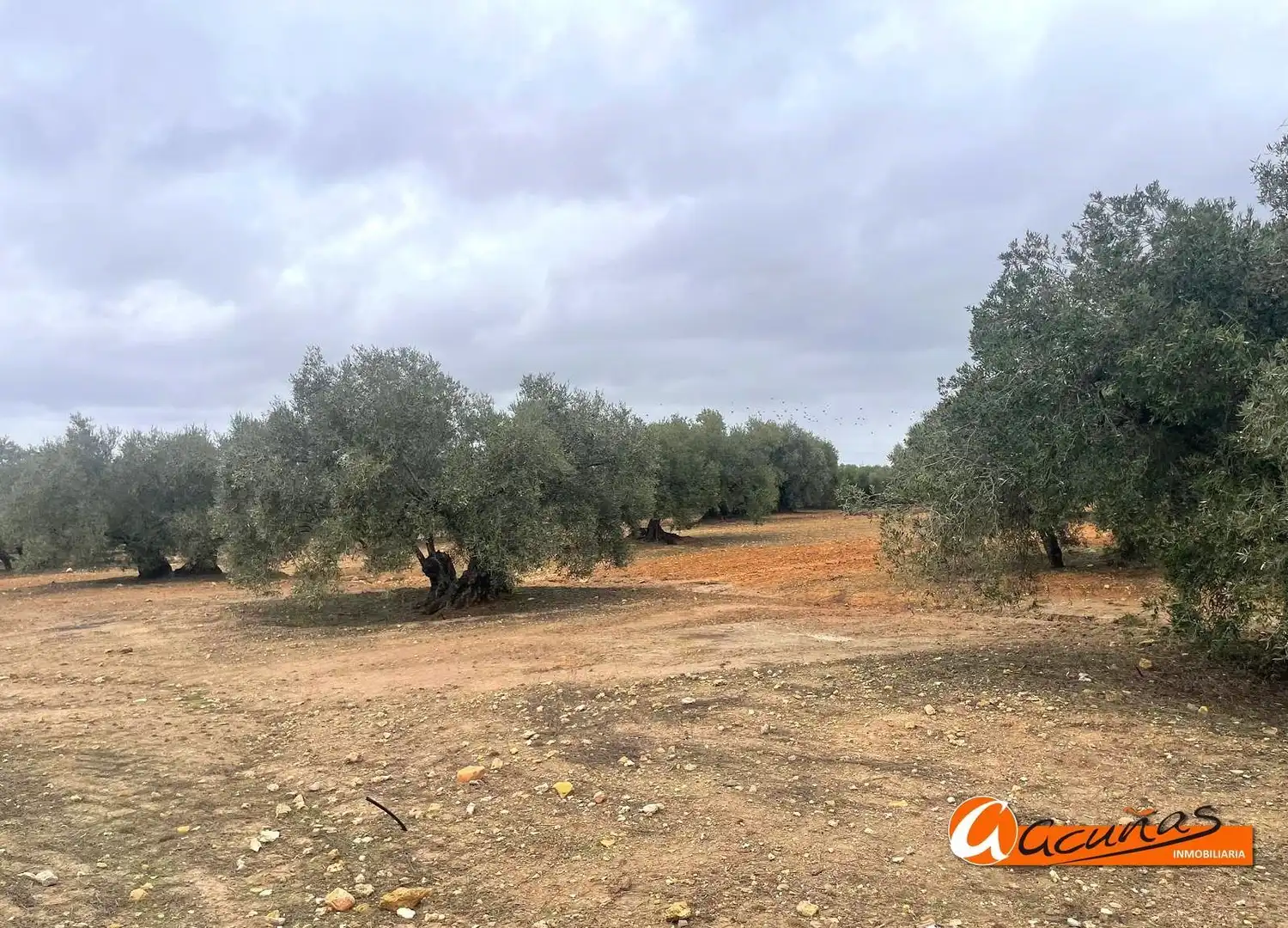 Terrenos y solares en venta en Alameda, imagen 31
