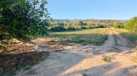 Photo 3 of Land for sale in Diseminado Poligon 4, 68, Xerta, Tarragona