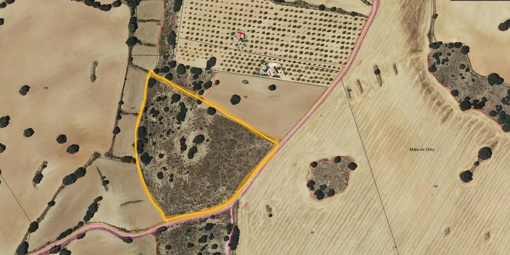 Terreno rustico in vendita a Munera, imagen 5