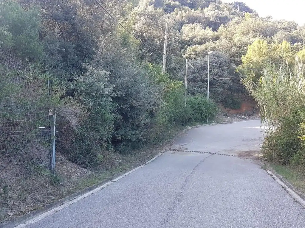 Terreno rústico en venta en MIRADOR DE MONTSERRAT, imagen 6