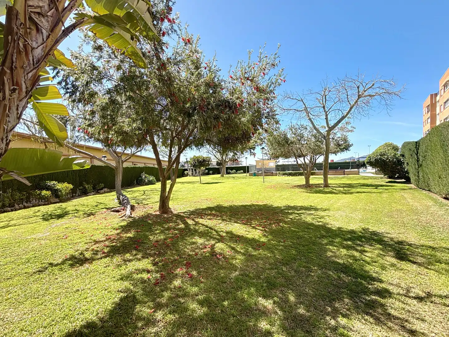 Apartments for rent in Calle Villanueva del Rosario, Puerta Blanca