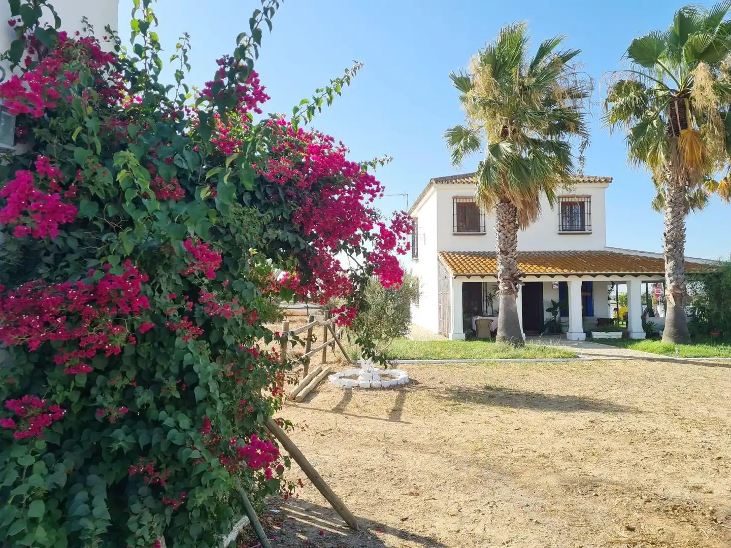 Jardí de Finca rústica en venda en Moguer, Huelva