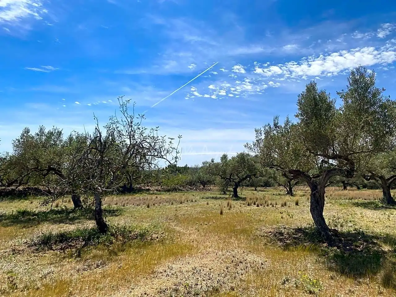 Terreno rustico in vendita a Mas de Baralluga, imagen 5