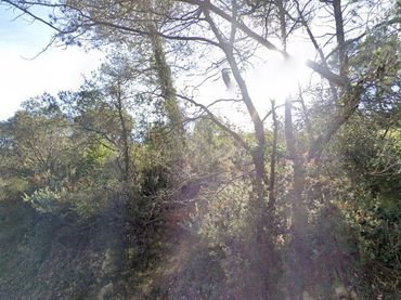 Wohnbaugrundstück zum Verkauf in Urbanización Sant Elies