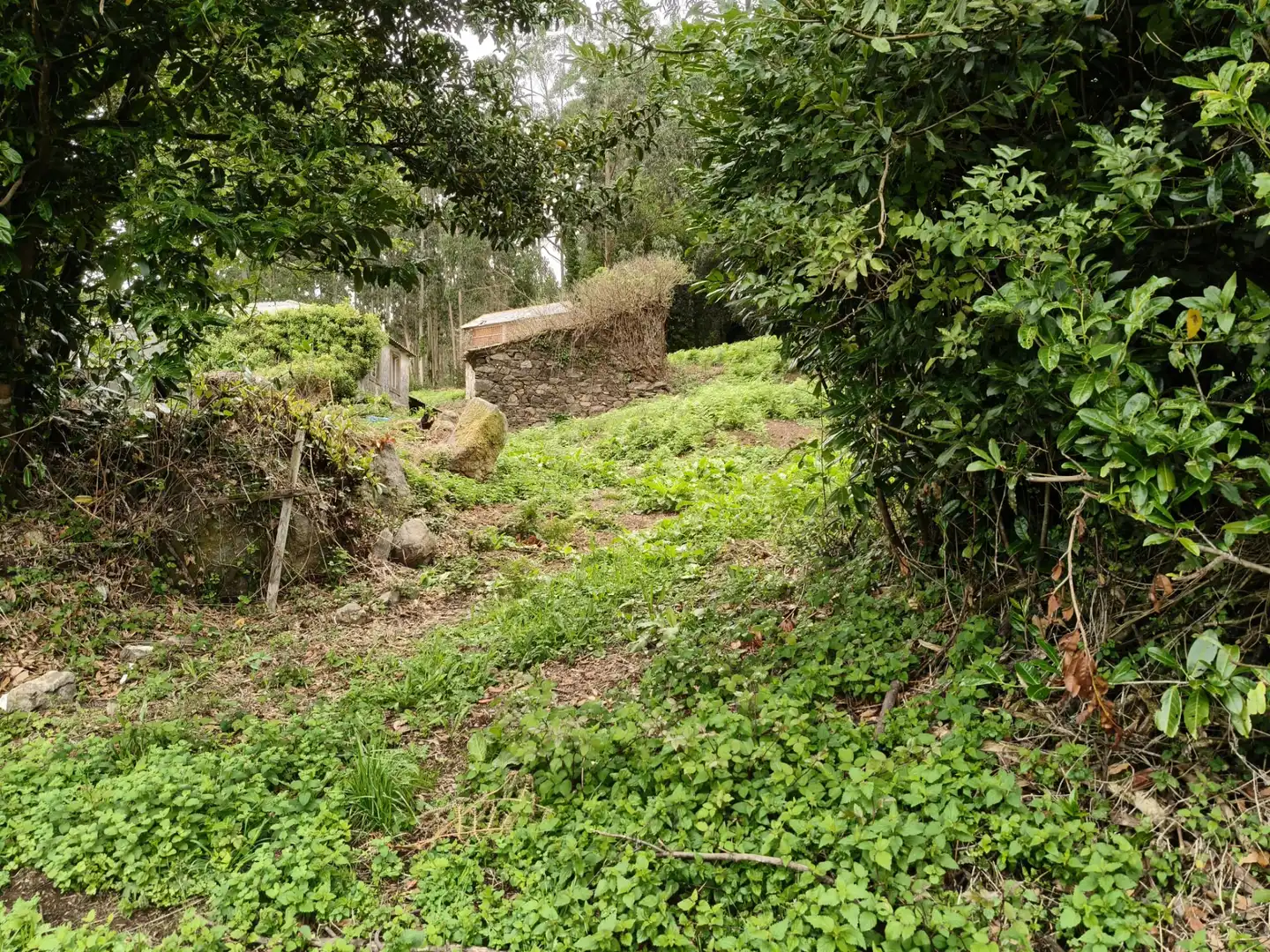 Country house with garden for sale in Cedeira, imagen 35