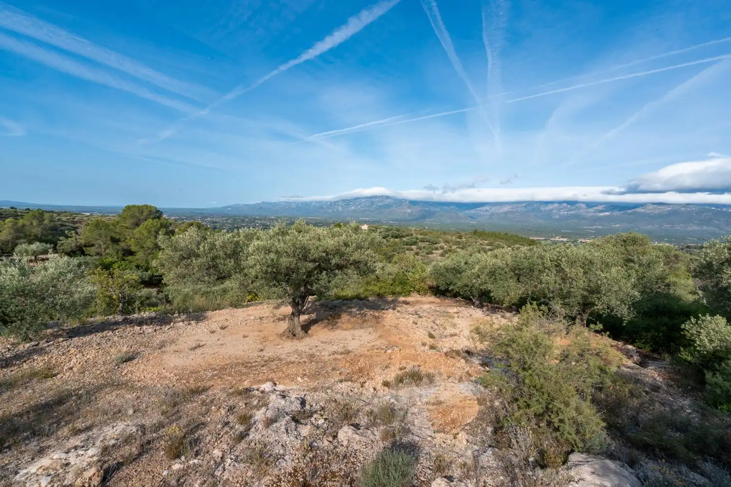 Rustikales Grundstück zum Verkauf in Carrer d'Arnau de Jardí 60, imagen 13