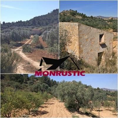 Land for sale in Riba-roja d'Ebre