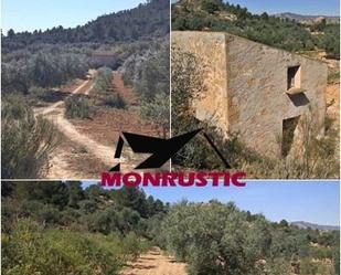 Land for sale in Riba-roja d'Ebre