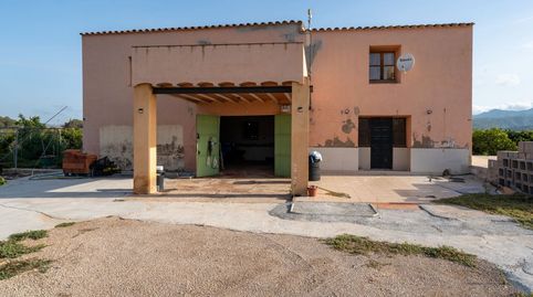 Finca rústica cerca de Tortosa con luz y agua. Hay dos viviendas y tiene acceso directo al río Ebro.