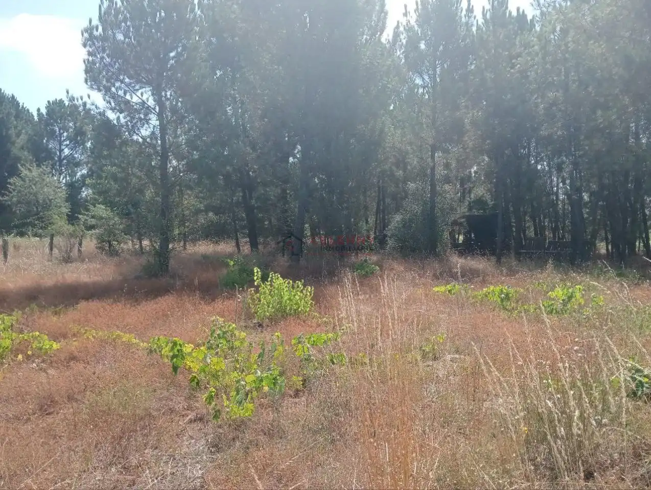 Terreni e lotti in vendita a San Cibrao das Viñas, imagen 7