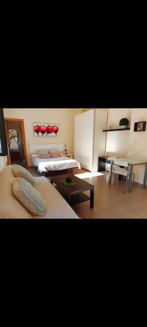 Schlafzimmer von Wohnung zur Miete in Málaga mit Möbliert
