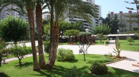 Foto 2 de Piso de alquiler en Playa de San Juan, Alicante / Alacant
