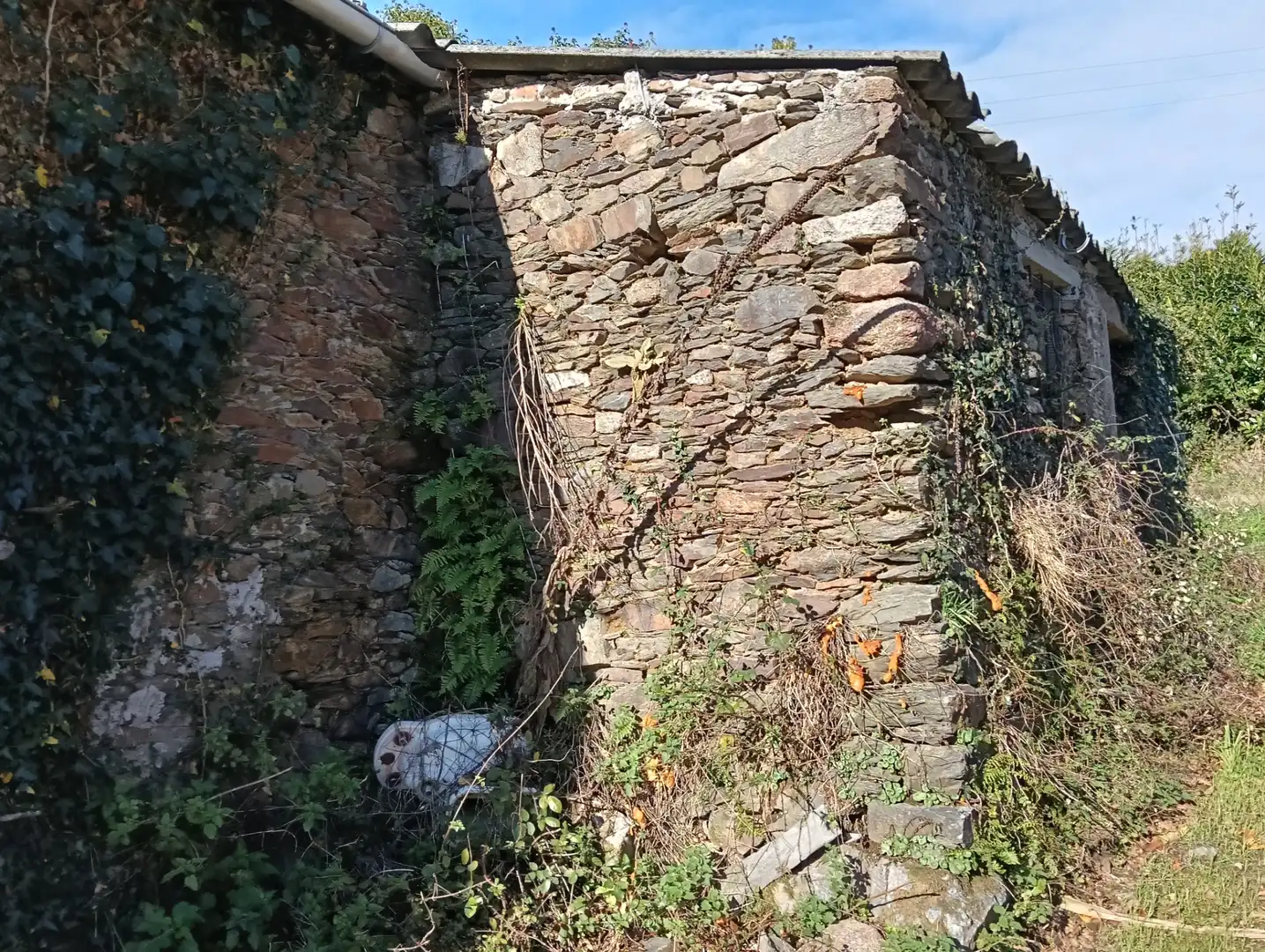 Adossat amb jardí en venda a Cesuras, imagen 5