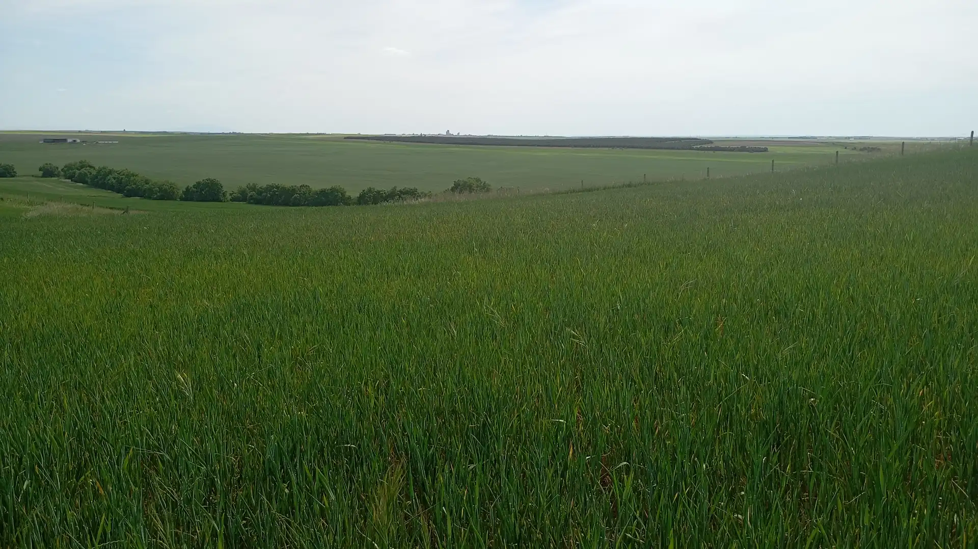 Land for sale in Calle Iglesia, Cantaracillo