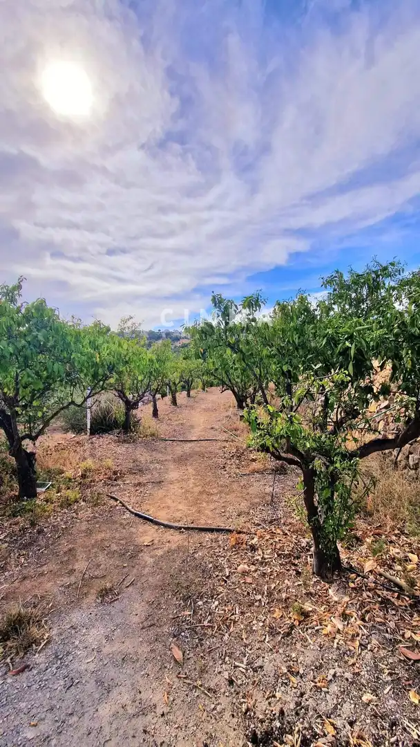 Country homes for sale in La Nucia