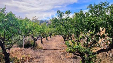 Foto 5 de Finca rústica en venda a El Tossal - Bello Horizonte, La Nucia