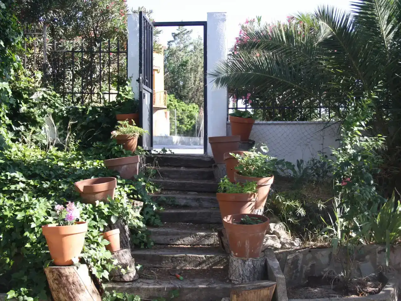 Casa o chalet en venta en Chinchón con Piscina
